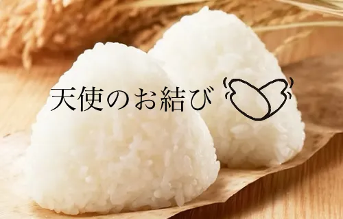 天使のお結び事業